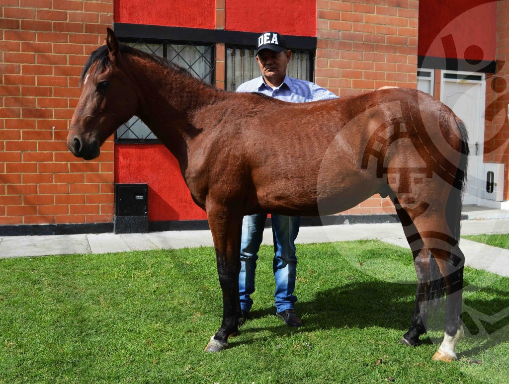 14352603_631046423733373_3898379621991494888_o