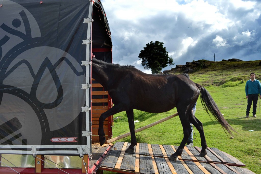 14372114_631046510400031_7864113341670383032_o