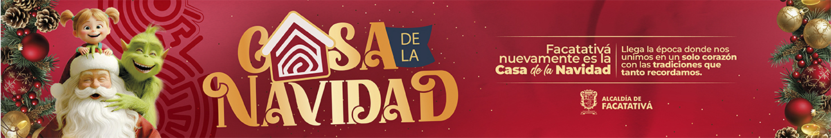 BANNER FACA NAVIDAD